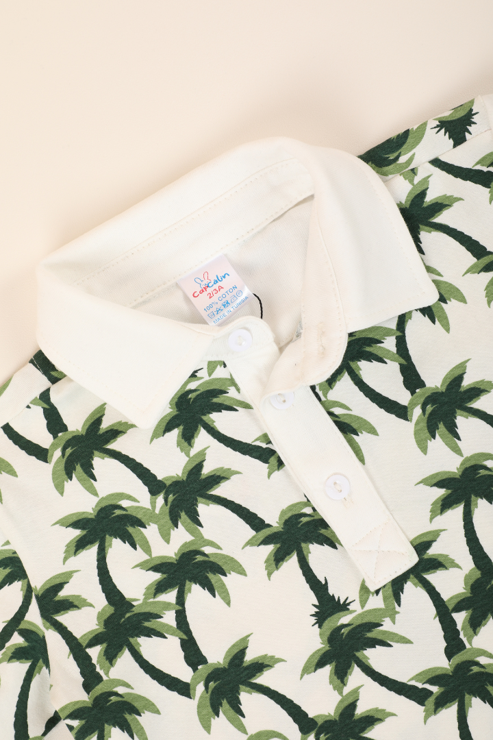 Ensemble Hawaii