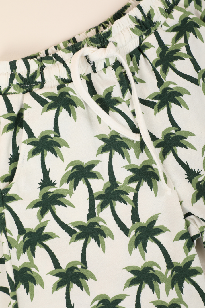 Ensemble Hawaii