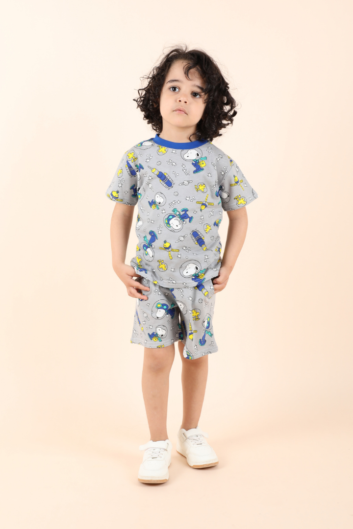 Ensemble Snoopy