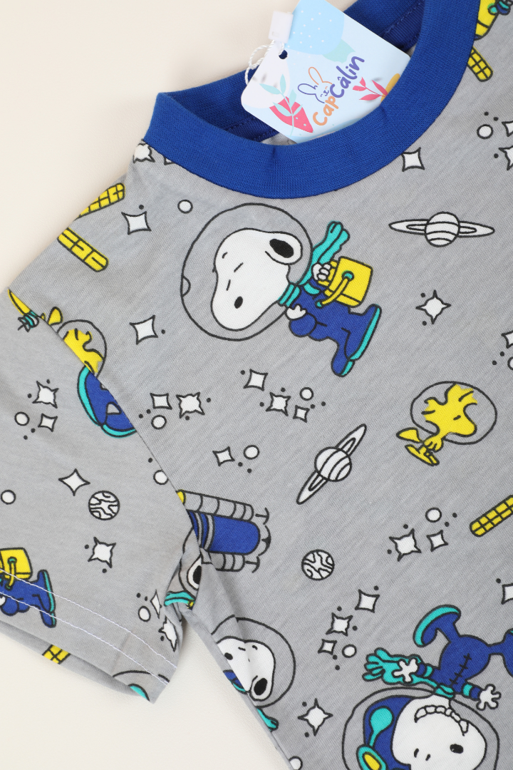 Ensemble Snoopy