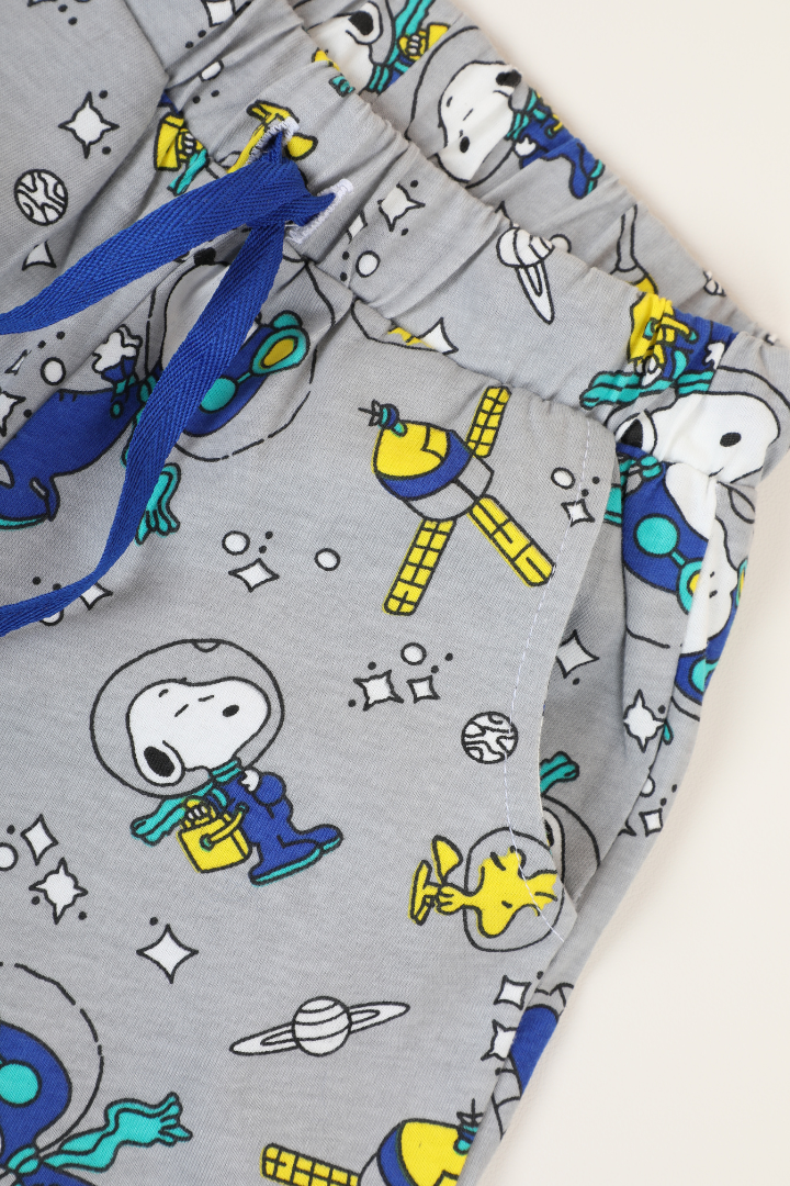 Ensemble Snoopy